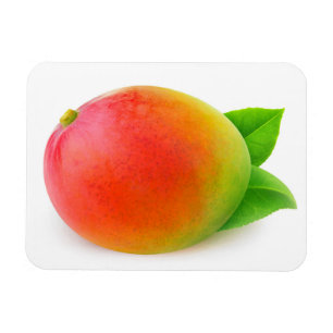 Mango Magnet