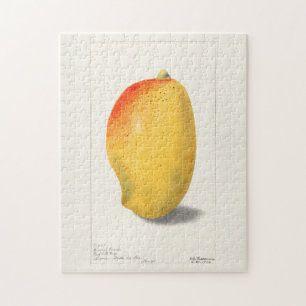 Mango (Mangifera Indica) Fruchtfarben Puzzle