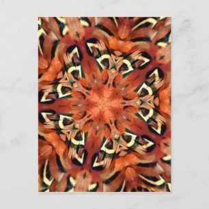 Mango Pheasant Feather Kaleidoscope Mandala Postkarte