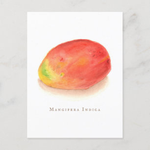 Mango!   postkarte
