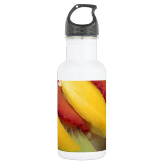 Mango Rice Sushi Food Plate Küche Edelstahlflasche