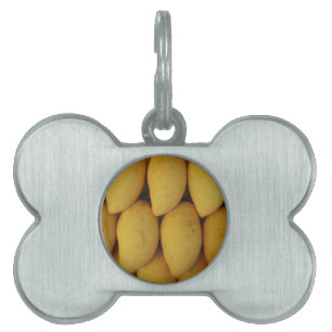 Mango Tiermarke