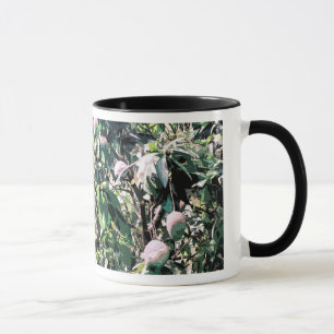 Mango Tree Tasse