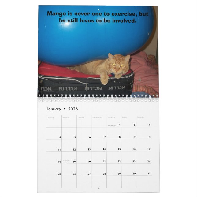 Mango-Welpe Kalender (Jan 2026)