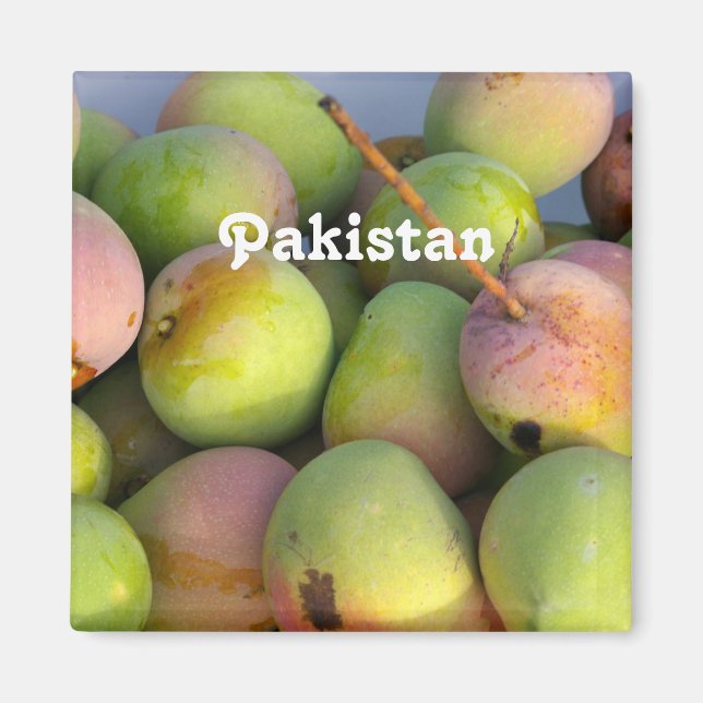 Mangos Magnet (Vorne)