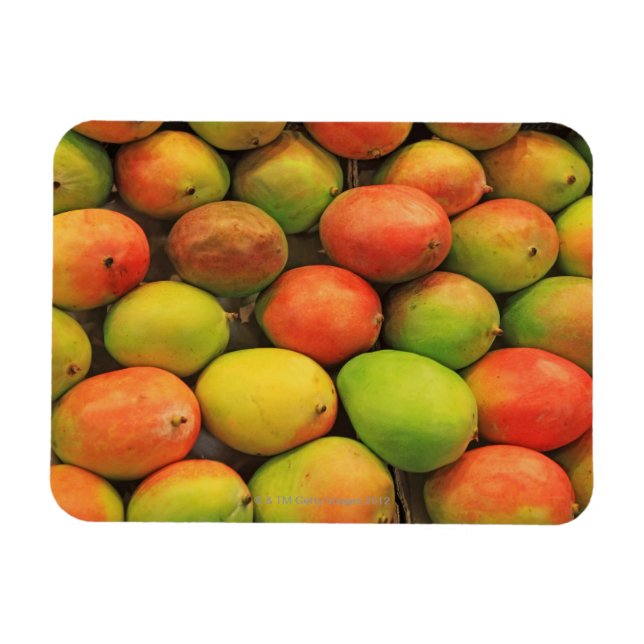 Mangos, Spanien, Katalonien, Barcelona, La Boqueri Magnet (Horizontal)