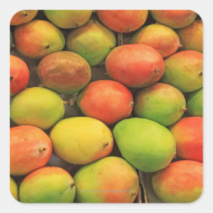 Mangos, Spanien, Katalonien, Barcelona, La Boqueri Quadratischer Aufkleber