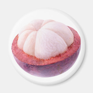 Mangostanhalle Magnet