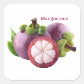 Mangosteen Fruchtaufkleber Quadratischer Aufkleber