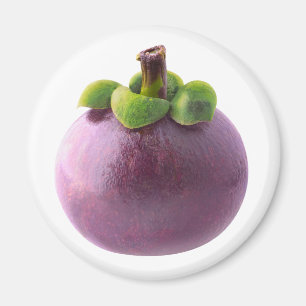 Mangosteen Magnet
