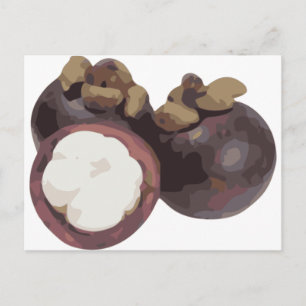 Mangosteen Sweet and Tangy Frucht aus Thailand Postkarte