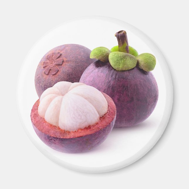 Mangosteens Magnet (Vorne)