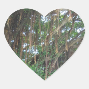 Mangrov Trees Heart Sticker