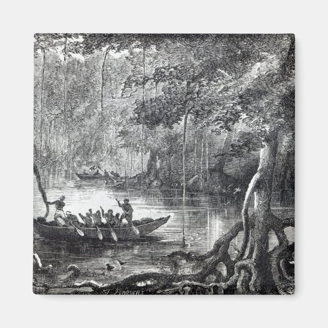 Mangrove Forest' Magnet (Vorne)