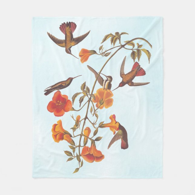 Mangrove Hummingbirds mit Orange Trumpet-Blume Fleecedecke (Vorderseite)