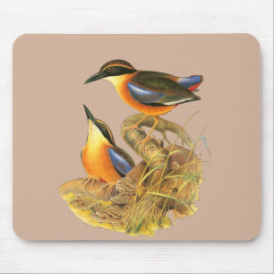 Mangrove Pitta Mousepad