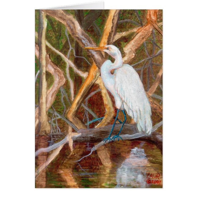 MangroveNo1Egret (Vorne)