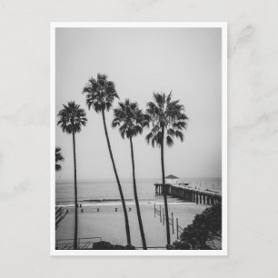 Manhattan Beach Pier und Palme Schwarzweiß Postkarte
