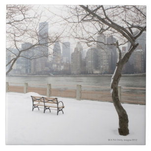 Manhattan im Winter Fliese