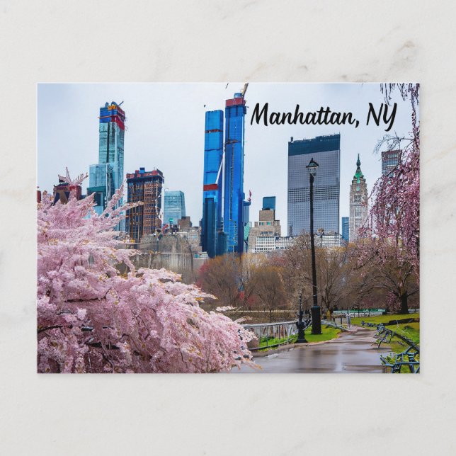 Manhattan, NY Cherry Blossom im Frühjahr Postkarte (Vorderseite)