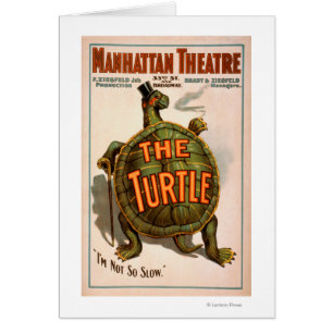 Manhattan Theater New York Broadway Die Schildkröt