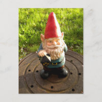 Manhole Gnome