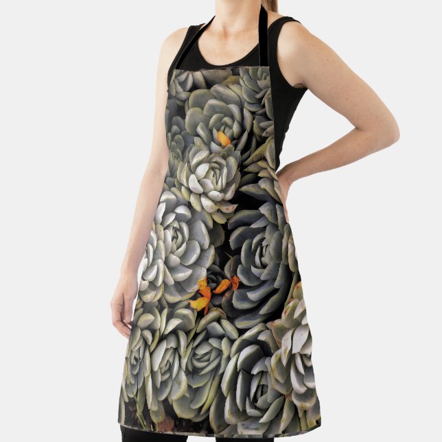 Manie der Pflanze Schürze (InSitu)