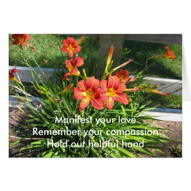 Manifest Ihrer Liebe (Vorderseite (Horizontal))