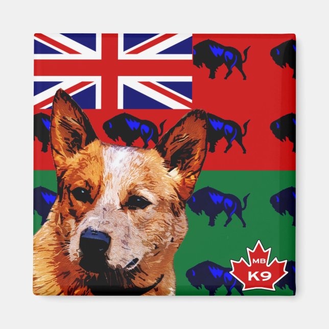 Manitoba Australischer Rinderhund Magnet (Vorne)