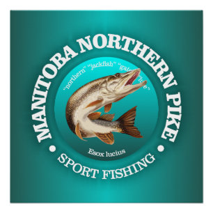 Manitoba Pike Fishing Poster