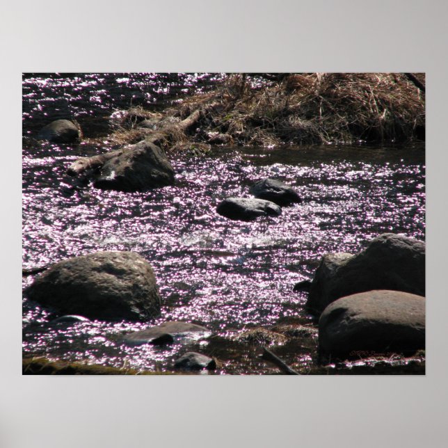 Manitowish Spirit Water Poster (Vorne)