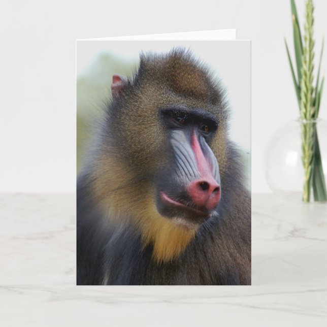 Mann allein karte (Vorderseite)