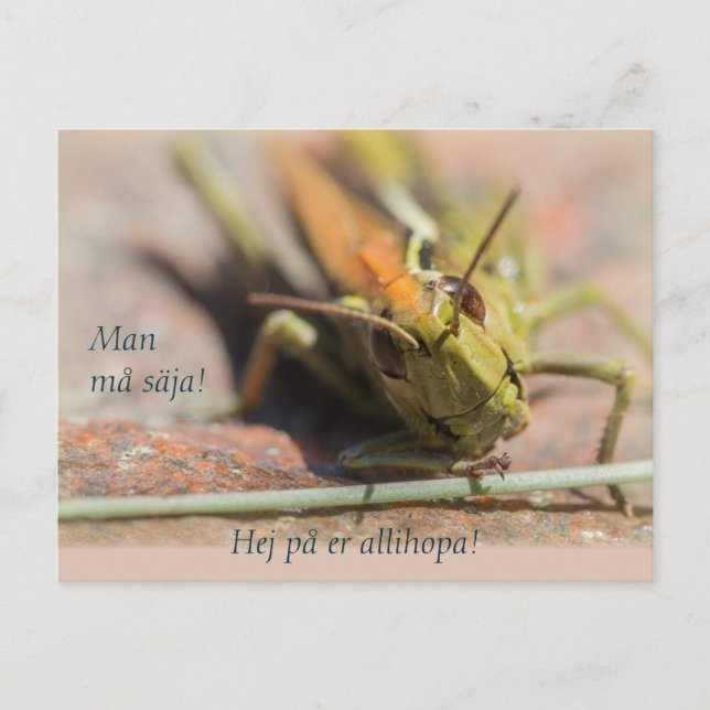 Mann må säja! Gräshoppa med personlighet CC0775 Postkarte (Vorderseite)