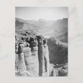 Mann und Donkey bei Grand Canyon Postcard Postkarte