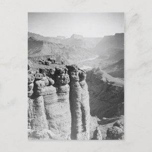 Mann und Donkey bei Grand Canyon Postcard Postkarte
