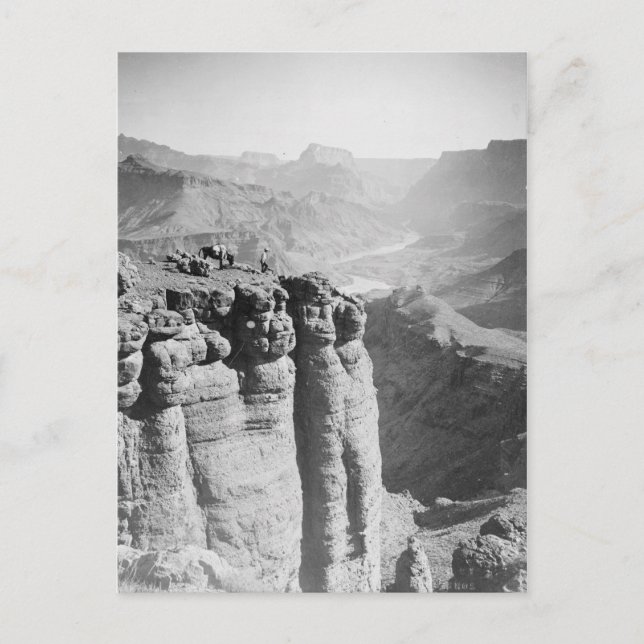Mann und Donkey bei Grand Canyon Postcard Postkarte (Vorderseite)