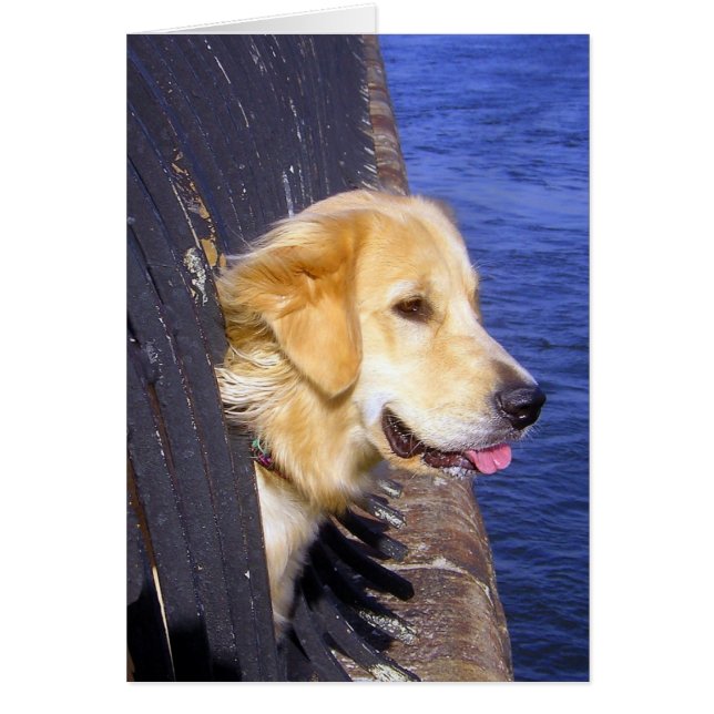 MANN... WÜNSCHE ICH WUSSTE, WIE MAN SCHWIMMT! (Vorne)