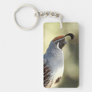 Männchen Quail Schlüsselanhänger