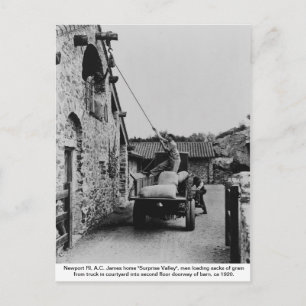 Männer, die LKW-Getreide verladen, Insel Newport R Postkarte