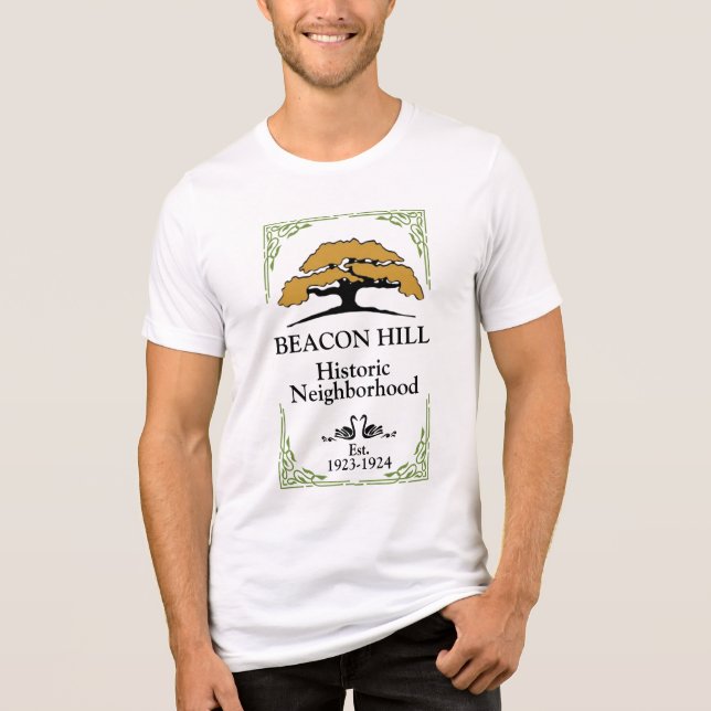 Männer-Hemdfront Tri-Blend Shirt (Vorderseite)