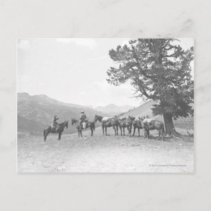 Männer mit Packpferden über einem Hügel Postkarte
