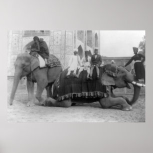 Männer reiten Elefanten in Indien FotografieIndien Poster