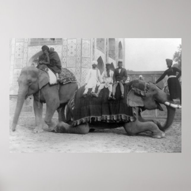 Männer reiten Elefanten in Indien FotografieIndien Poster (Vorne)