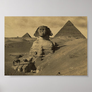 Männer und Kamele auf der Pfote der Sphinx, Pyrami Poster