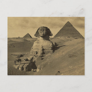 Männer und Kamele auf der Tatze der Sphinxes, Postkarte