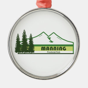 Manning Provincial Park Grüne Streifen Ornament Aus Metall
