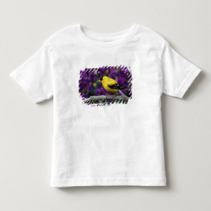 Männlich, Amerikanischer Goldfink im Sommerkleid, Kleinkind T-shirt
