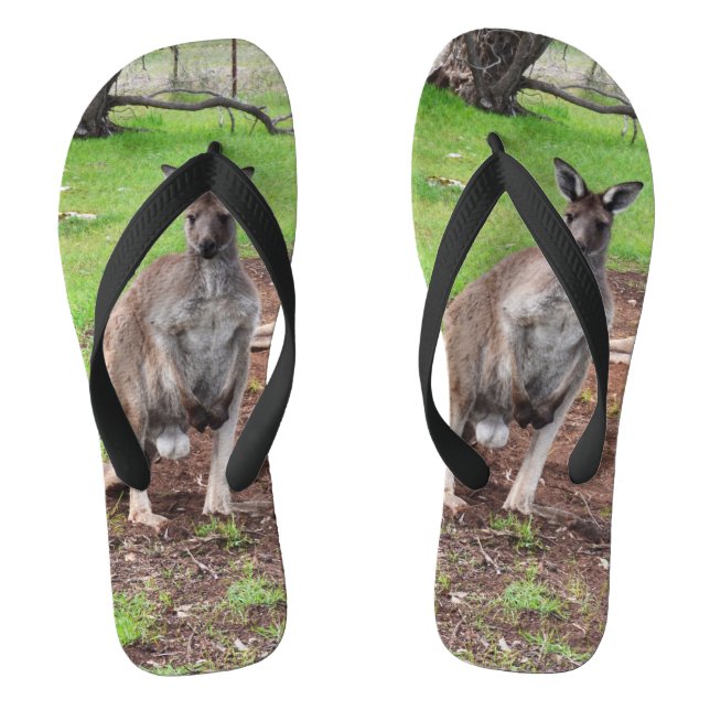 Männlich australisch Kangaroo, Flip Flops (Fußbett)