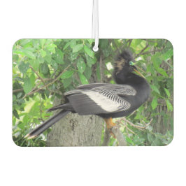 Männlich (vorne) und Weiblich (hinten) Anhinga Autolufterfrischer