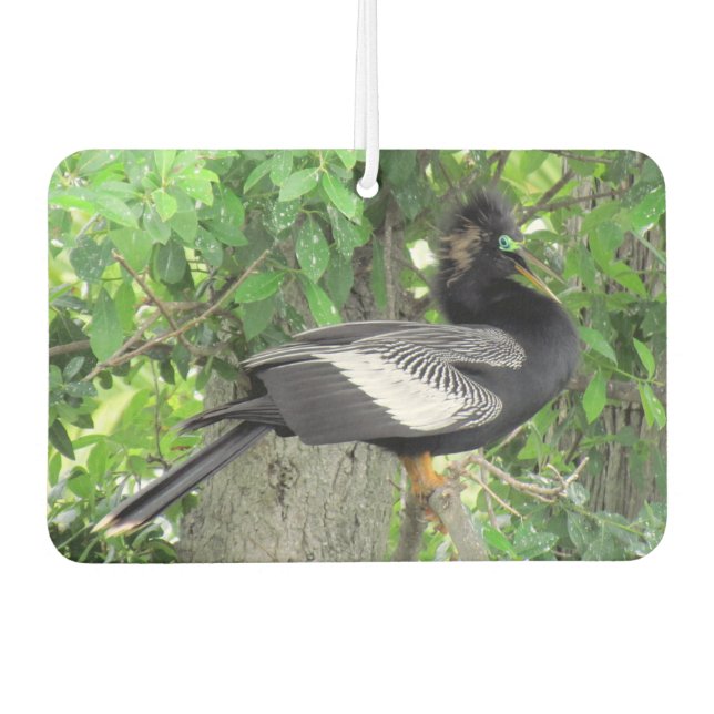 Männlich (vorne) und Weiblich (hinten) Anhinga Autolufterfrischer (Vorderseite)